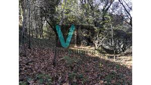 Terreno Rstico - Salamonde, Vieira do Minho, Braga