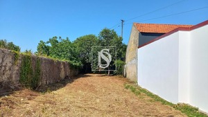 Terreno Rstico T0 - Ssa, Vagos, Aveiro