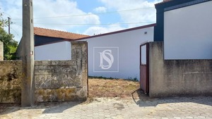 Terreno Rstico T0 - Ssa, Vagos, Aveiro - Miniatura: 2/22