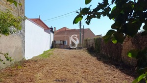 Terreno Rstico T0 - Ssa, Vagos, Aveiro - Miniatura: 4/22