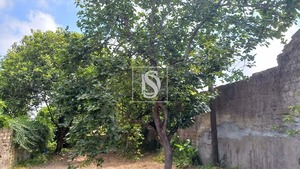 Terreno Rstico T0 - Ssa, Vagos, Aveiro - Miniatura: 9/22
