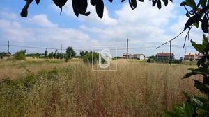 Terreno Rstico T0 - Ssa, Vagos, Aveiro - Miniatura: 14/22
