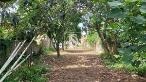 Terreno Rstico T0 - Ssa, Vagos, Aveiro - Miniatura: 15/22