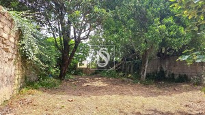 Terreno Rstico T0 - Ssa, Vagos, Aveiro - Miniatura: 19/22