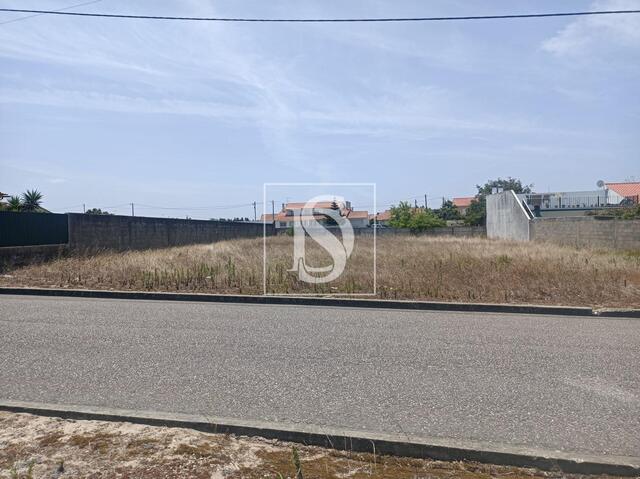 Terreno R�stico - Vieira de Leiria, Marinha Grande, Leiria - Imagem grande