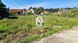 Terreno Rstico T0 - Ssa, Vagos, Aveiro