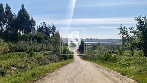 Terreno Rstico T0 - Ssa, Vagos, Aveiro - Miniatura: 1/4