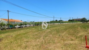 Terreno Rstico T0 - Ssa, Vagos, Aveiro