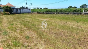 Terreno Rstico T0 - Ssa, Vagos, Aveiro - Miniatura: 1/32