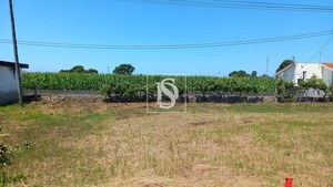 Terreno Rstico T0 - Ssa, Vagos, Aveiro - Miniatura: 4/32