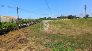 Terreno Rstico T0 - Ssa, Vagos, Aveiro - Miniatura: 5/32