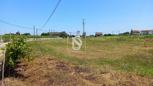 Terreno Rstico T0 - Ssa, Vagos, Aveiro - Miniatura: 6/32