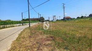 Terreno Rstico T0 - Ssa, Vagos, Aveiro - Miniatura: 11/32