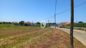 Terreno Rstico T0 - Ssa, Vagos, Aveiro - Miniatura: 15/32
