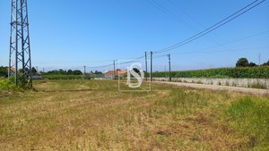 Terreno Rstico T0 - Ssa, Vagos, Aveiro - Miniatura: 17/32