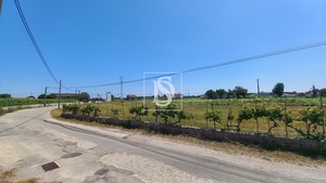 Terreno Rstico T0 - Ssa, Vagos, Aveiro - Miniatura: 18/32