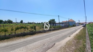 Terreno Rstico T0 - Ssa, Vagos, Aveiro - Miniatura: 19/32
