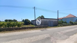 Terreno Rstico T0 - Ssa, Vagos, Aveiro - Miniatura: 20/32