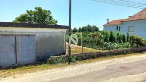 Terreno Rstico T0 - Ssa, Vagos, Aveiro - Miniatura: 23/32
