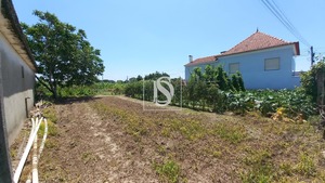 Terreno Rstico T0 - Ssa, Vagos, Aveiro - Miniatura: 25/32