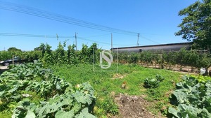 Terreno Rstico T0 - Ssa, Vagos, Aveiro - Miniatura: 27/32