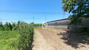 Terreno Rstico T0 - Ssa, Vagos, Aveiro - Miniatura: 28/32