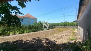 Terreno Rstico T0 - Ssa, Vagos, Aveiro - Miniatura: 29/32