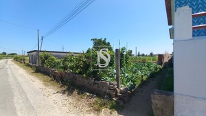 Terreno Rstico T0 - Ssa, Vagos, Aveiro - Miniatura: 32/32