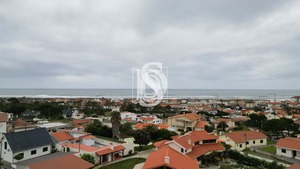 Terreno Rstico T0 - Quiaios, Figueira da Foz, Coimbra - Miniatura: 2/21
