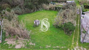 Terreno Rstico T0 - Quiaios, Figueira da Foz, Coimbra - Miniatura: 5/21