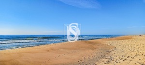 Terreno Rstico T0 - Quiaios, Figueira da Foz, Coimbra - Miniatura: 19/21