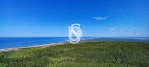 Terreno Rstico T0 - Quiaios, Figueira da Foz, Coimbra - Miniatura: 21/21