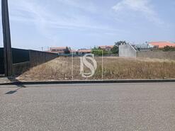 Terreno R�stico - Vieira de Leiria, Marinha Grande, Leiria - Miniatura: 3/5