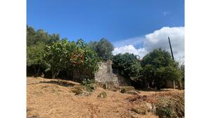 Quinta T3 - Lanhoso, Pvoa de Lanhoso, Braga - Miniatura: 13/31