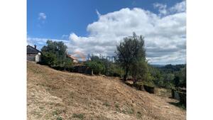 Quinta T3 - Lanhoso, Pvoa de Lanhoso, Braga - Miniatura: 14/31