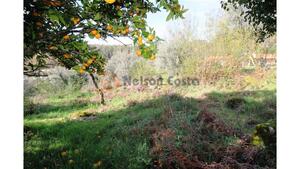 Quinta T3 - Lanhoso, P�voa de Lanhoso, Braga - Miniatura: 32/34