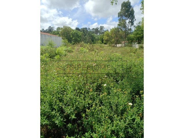 Terreno Urbano - Marinha Grande, Marinha Grande, Leiria - Imagem grande
