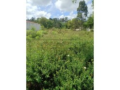 Terreno Urbano - Marinha Grande, Marinha Grande, Leiria