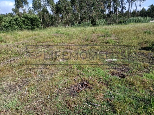 Terreno Urbano - Marinha Grande, Marinha Grande, Leiria - Imagem grande