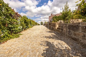 Quinta T2 - Constance, Marco de Canaveses, Porto - Miniatura: 5/41