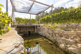 Quinta T2 - Constance, Marco de Canaveses, Porto - Miniatura: 18/41