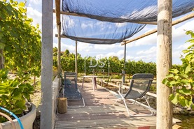 Quinta T2 - Constance, Marco de Canaveses, Porto - Miniatura: 19/41