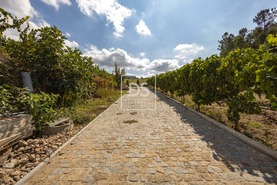 Quinta T2 - Constance, Marco de Canaveses, Porto - Miniatura: 22/41