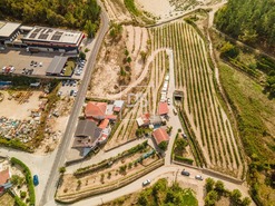 Quinta T2 - Constance, Marco de Canaveses, Porto - Miniatura: 23/41