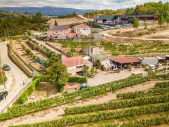 Quinta T2 - Constance, Marco de Canaveses, Porto - Miniatura: 28/41