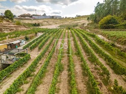 Quinta T2 - Constance, Marco de Canaveses, Porto - Miniatura: 29/41