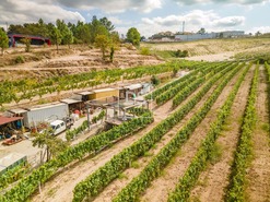 Quinta T2 - Constance, Marco de Canaveses, Porto - Miniatura: 30/41