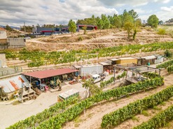 Quinta T2 - Constance, Marco de Canaveses, Porto - Miniatura: 31/41