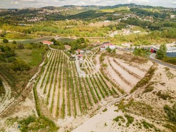 Quinta T2 - Constance, Marco de Canaveses, Porto - Miniatura: 32/41