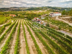 Quinta T2 - Constance, Marco de Canaveses, Porto - Miniatura: 35/41